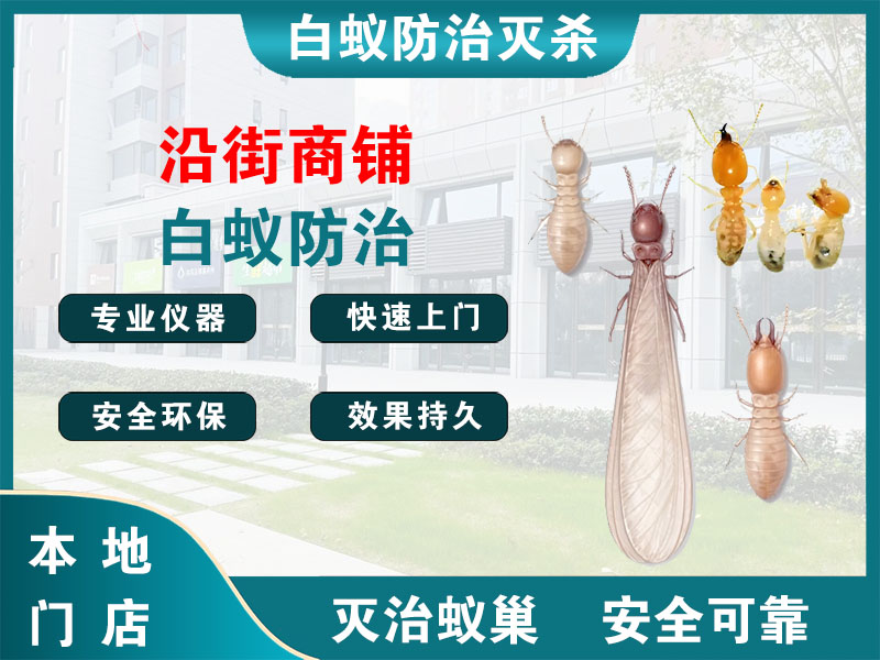 兴化市沿街商铺白蚁防治
