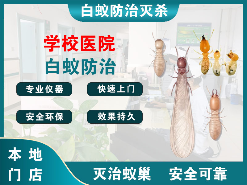 兴化市学校医院白蚁防治