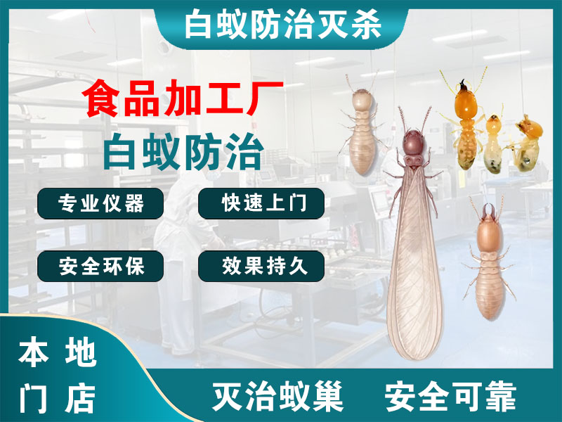 兴化市食品加工厂白蚁防治