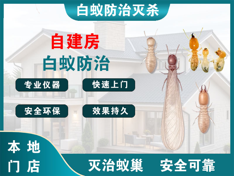 兴化市自建房白蚁防治
