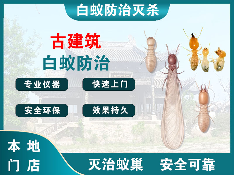 兴化市古建筑白蚁防治