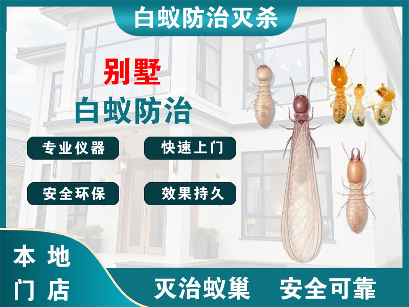 兴化市别墅白蚁防治